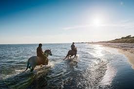 Horse Beach